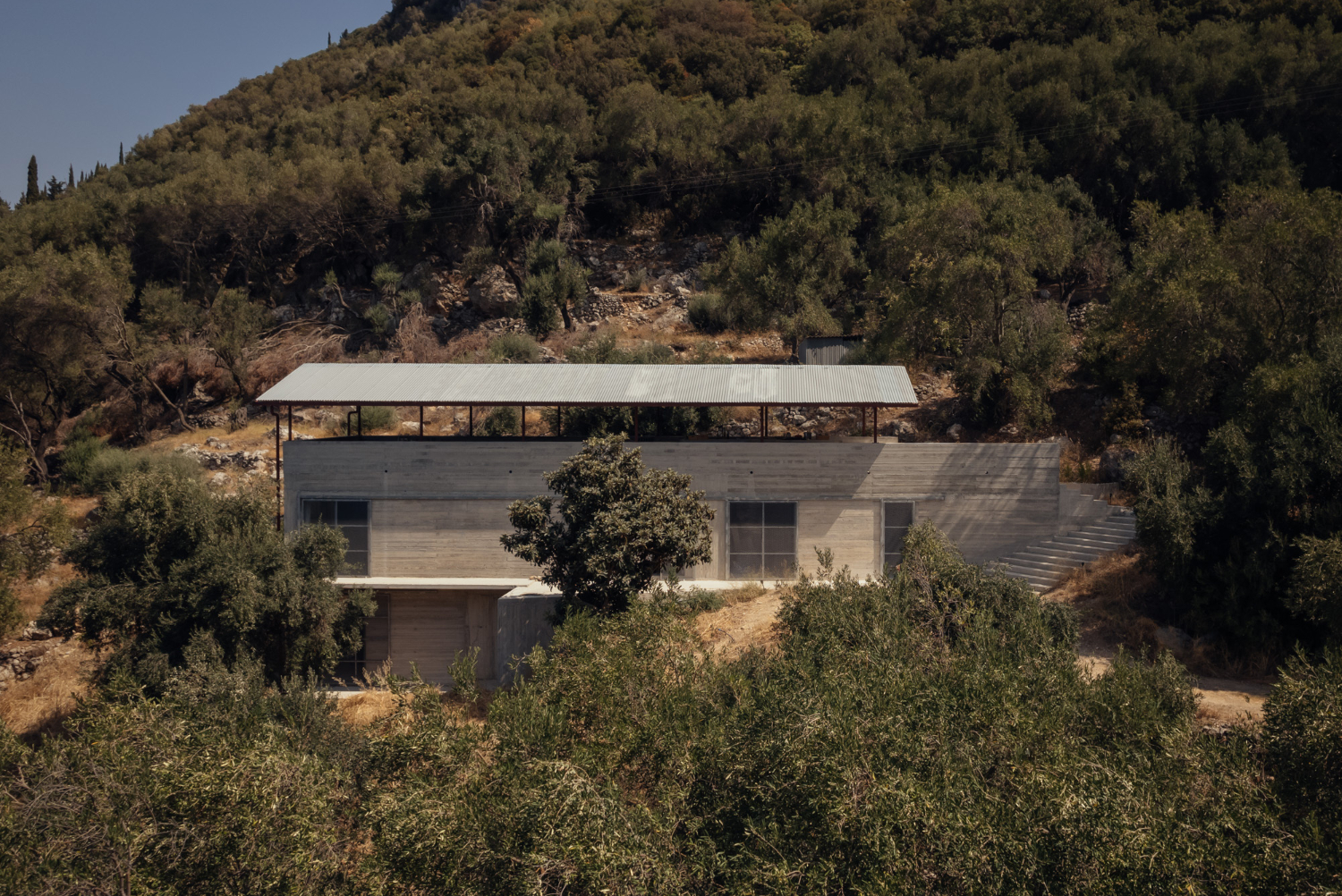 Dům v olivovém háji